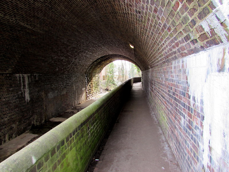 File:Riverside footpath under a railway bridge, Ruabon - geograph.org.uk - 4851581.jpg