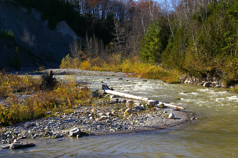 File:Rouge Park (6582927237).jpg