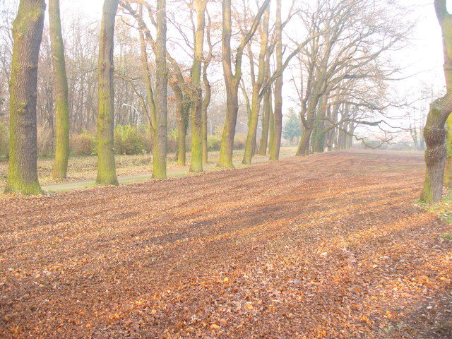 File:Schlosspark Oranienburg - Allee (Oranienburg Palace Park - Avenue) - geo.hlipp.de - 30576.jpg