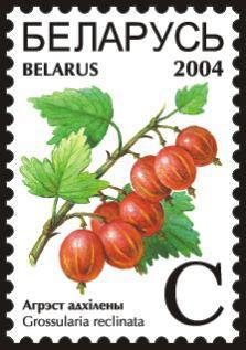 File:Stamp of Belarus - 2004 - Colnect 281054 - Gooseberries - Grossularia reclinata.jpeg