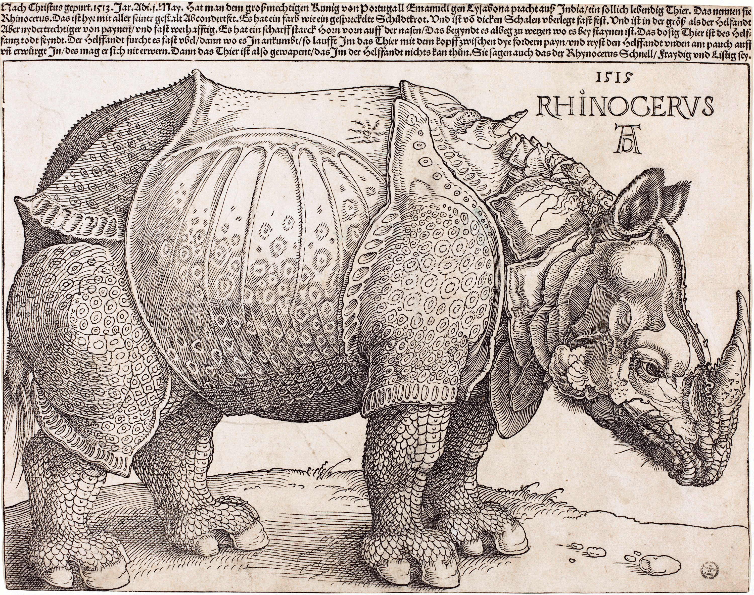 rhinoceros in spanish