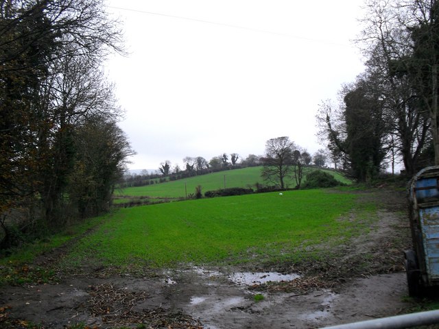 File:Tirfergus Townland - geograph.org.uk - 1560022.jpg