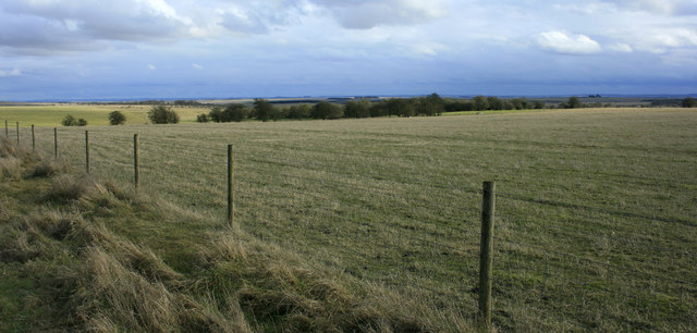 File:View across Salisbury Plain - geograph.org.uk - 1740208.jpg