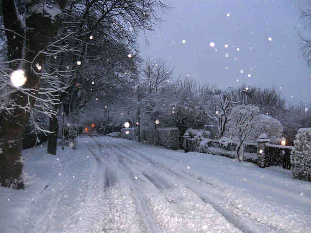 File:Withdean Road - geograph.org.uk - 1624554.jpg