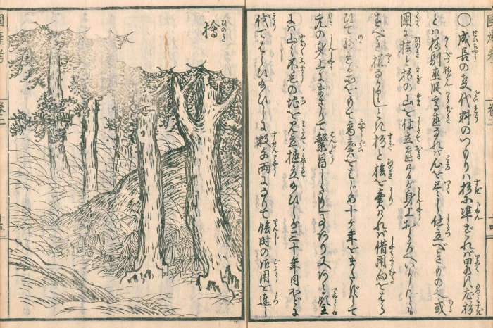 File:Ōkura Nagatsune Publikation 2.jpg