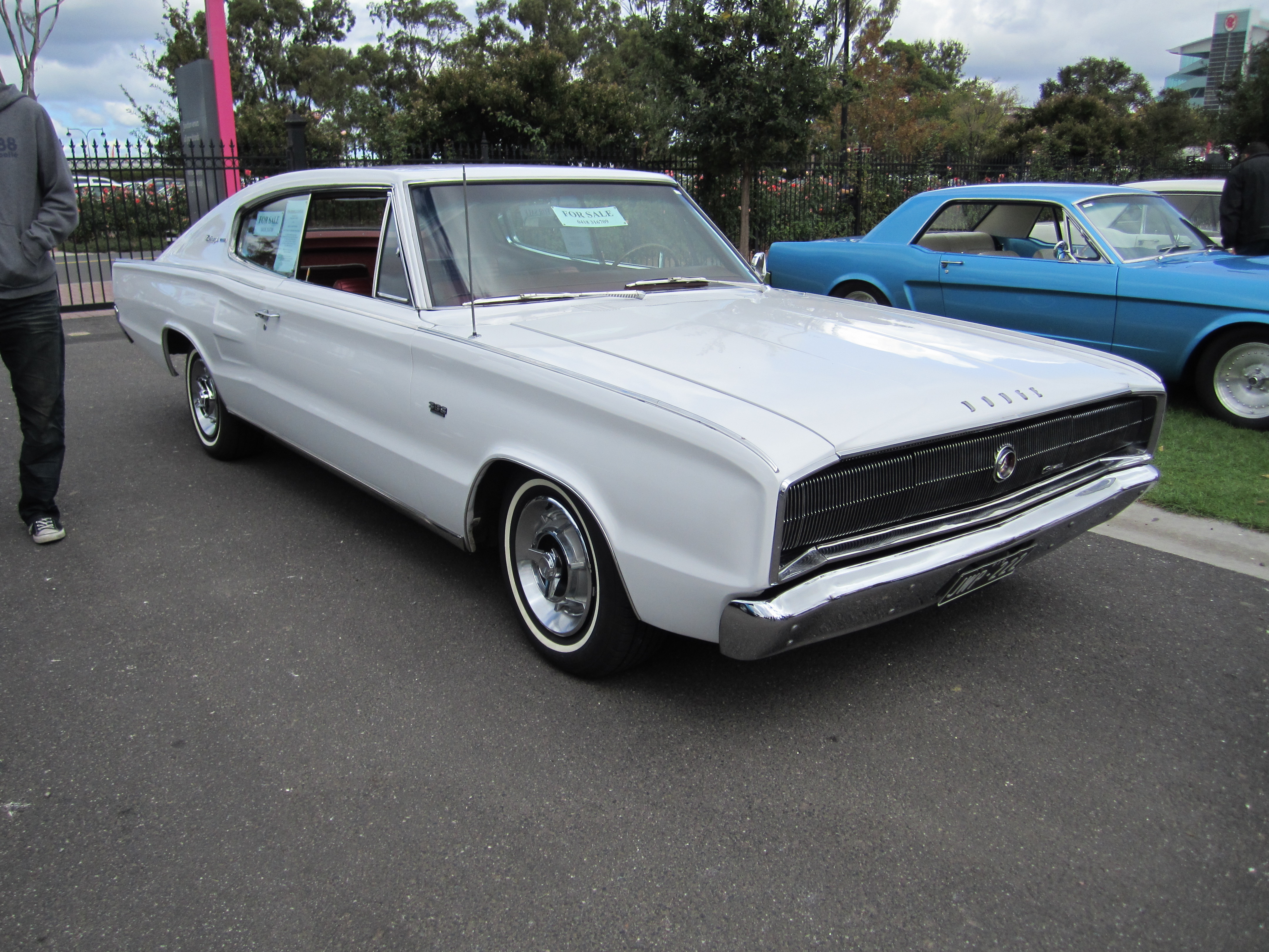 File 1966 Dodge Charger 3 Jpg Wikimedia Commons