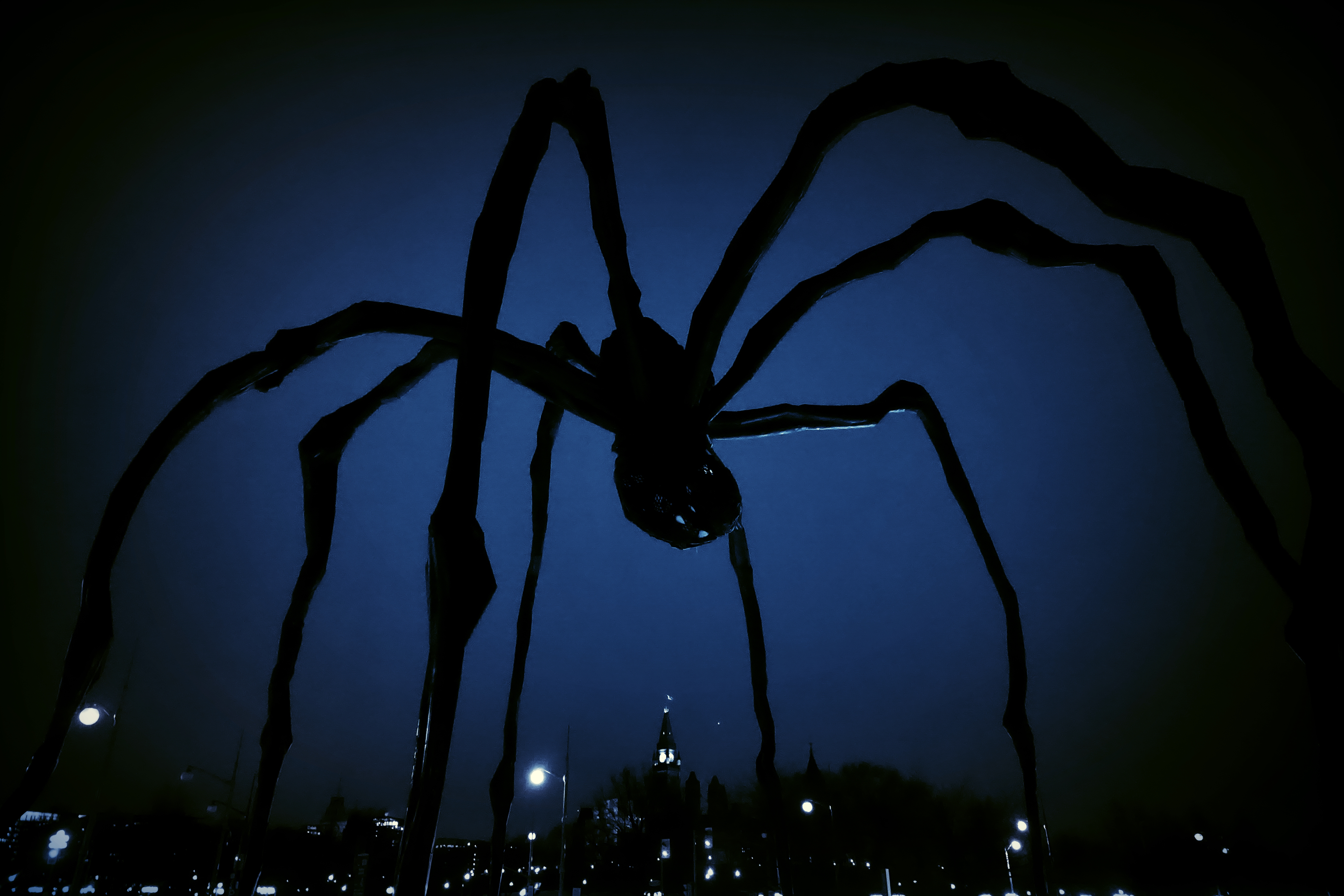 Самые страшные пауки на свете