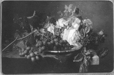 File:Adriana Johanna Haanen - Bloemen en vruchten - SA 252 - Amsterdam Museum.jpg