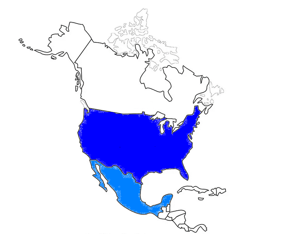 Mexico–United States border - Wikipedia