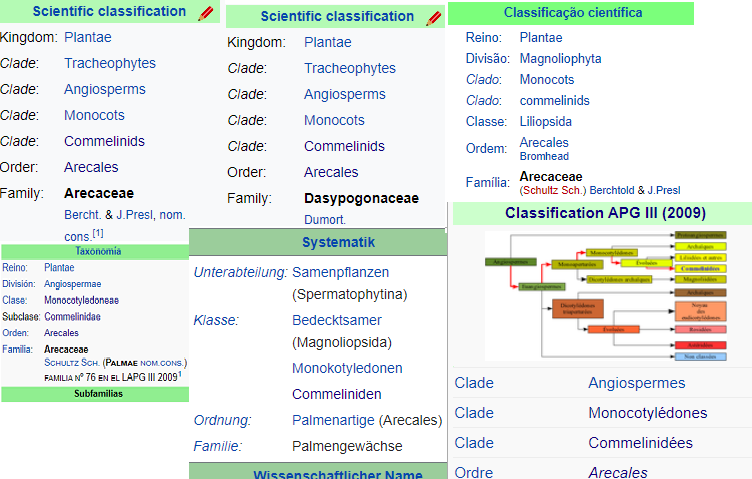 Manière de coder la classification des monocotylédones dans divers langages