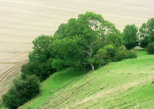 At the foot of Cley Hill - geograph.org.uk - 931698