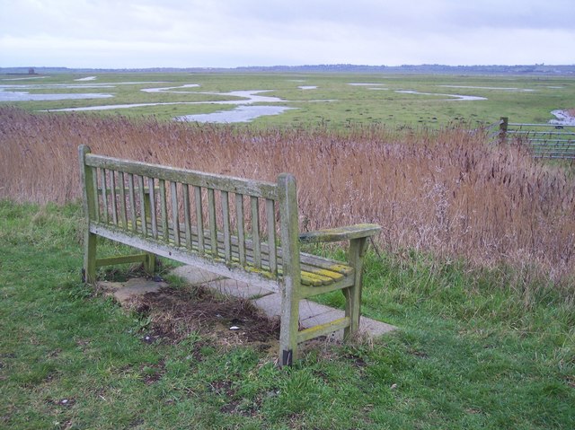 Bench in the Elmley Marshes - geograph.org.uk - 1652848