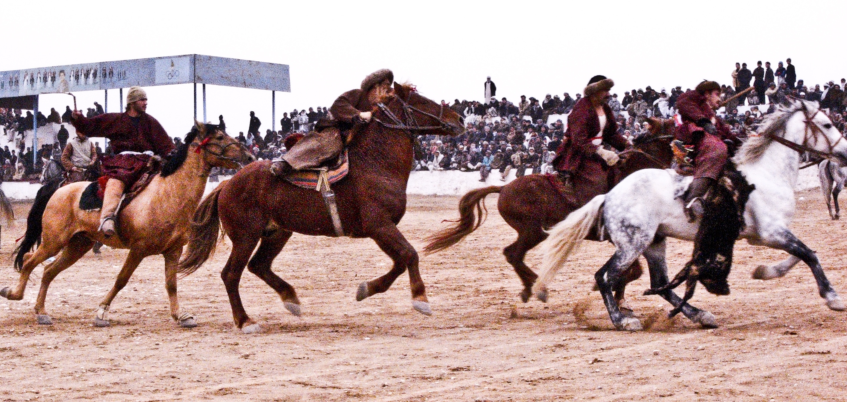 Por que os cavaleiros recebem os prêmios em esportes equestres se