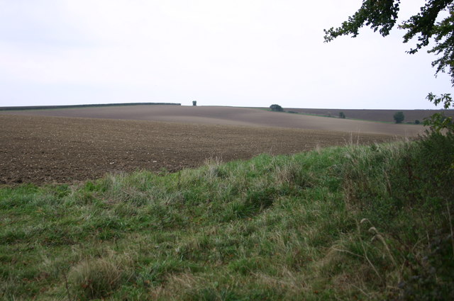 File:By the Copse above Little Chishill - geograph.org.uk - 579496.jpg