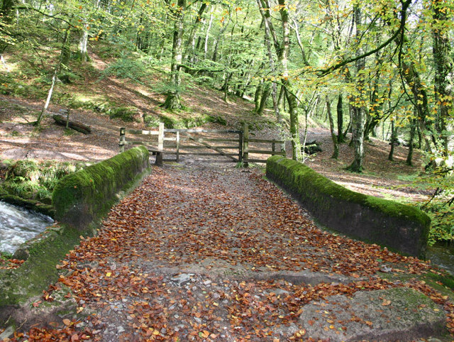 Castle Bridge, Dulverton, Somerset - geograph.org.uk - 72489