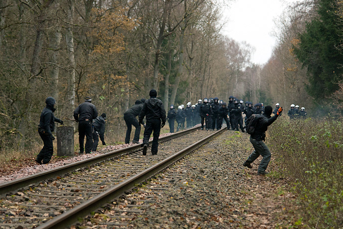 File:Castor 2011 - Monte Göhrde (15).jpg