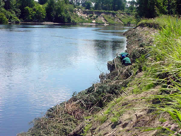 File:Connecticut River restoration Farilee VT4.jpg