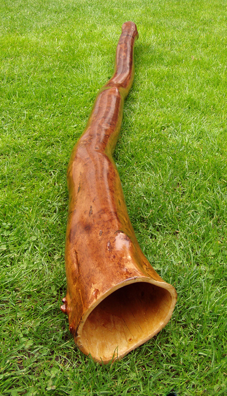 Le didgeridoo, instrument thérapeutique