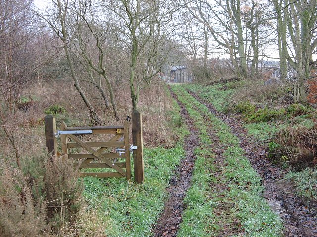 File:Edington Hill Lane - geograph.org.uk - 304090.jpg