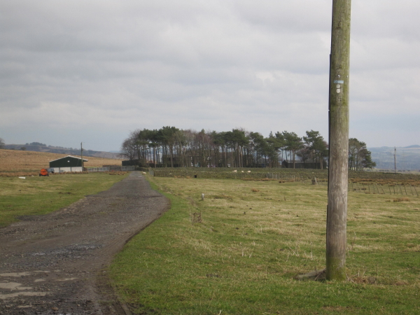 File:Farm track to Bayldon - geograph.org.uk - 1775996.jpg