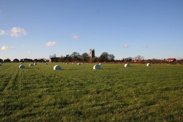 File:Farmland near Sturton le Steeple - geograph.org.uk - 285226.jpg