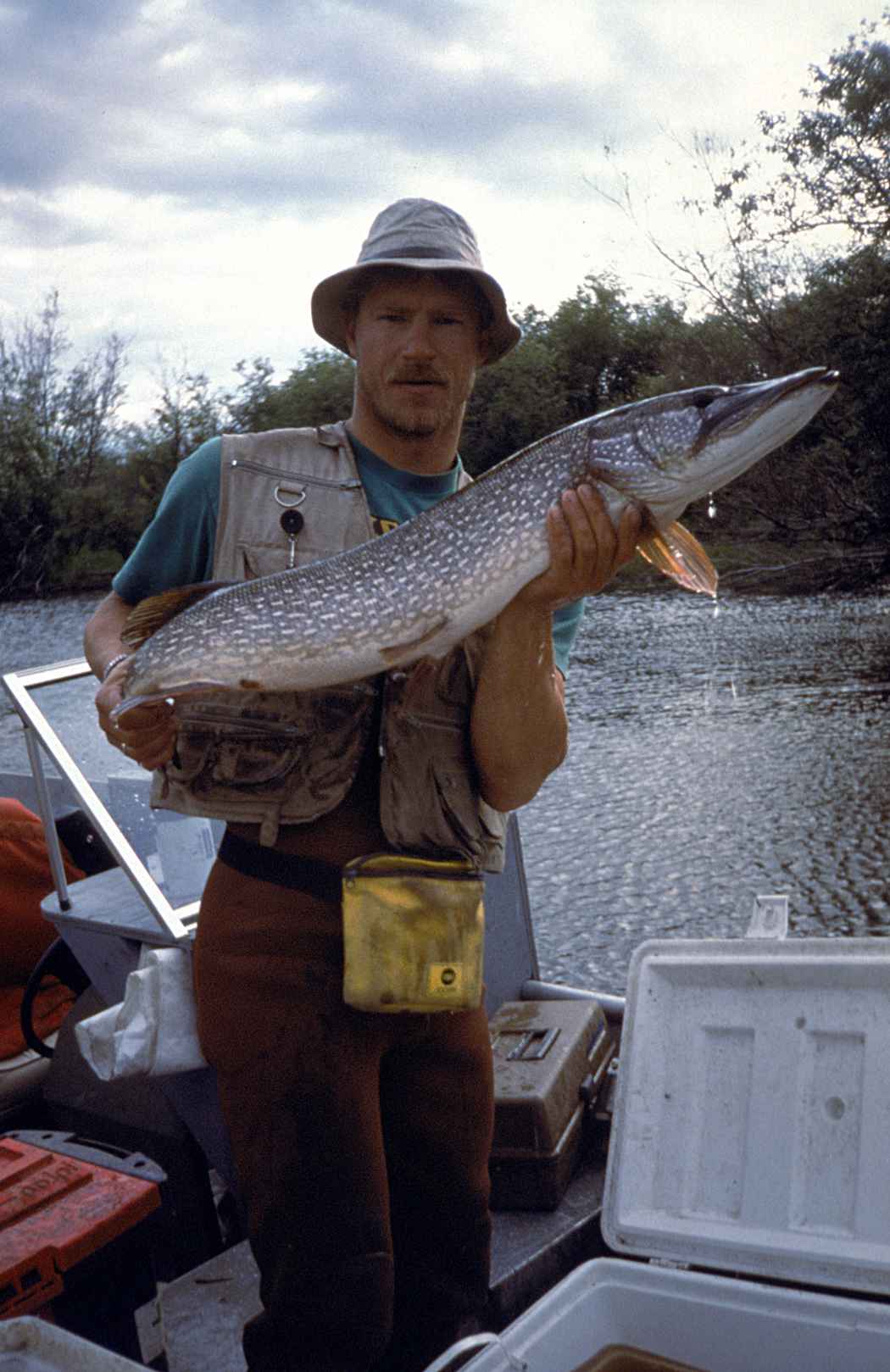 File:Fisherman holding big fish northern pike.jpg  Wikimedia Commons