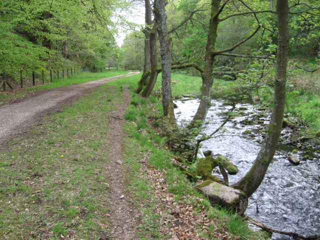 Footpath by the River Goyt - geograph.org.uk - 1295366