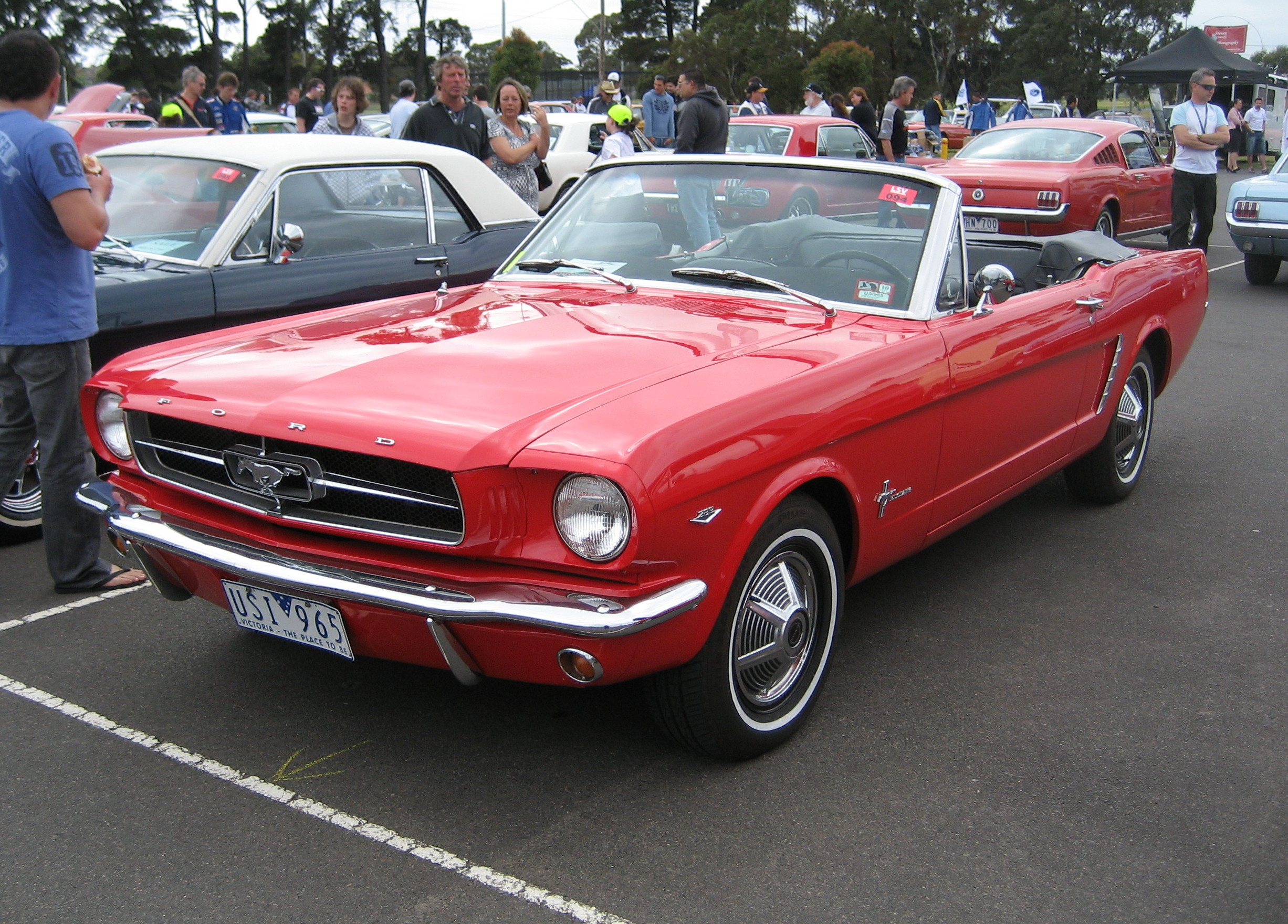 File Ford Mustang Convertible 1965 jpg Wikimedia Commons
