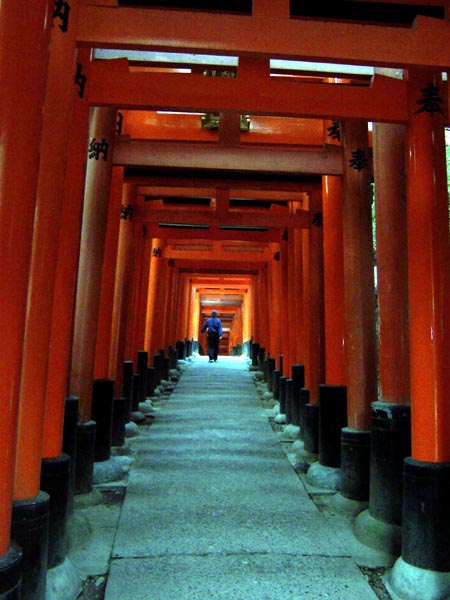 File:Fushimi Inari - Torii Tunnel 04.jpg