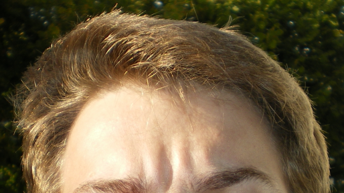 File:HairColor.png