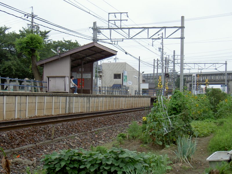 File:Hekikai-Furui Station Platform.JPG