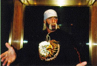 File:Hogan in wcw.jpg