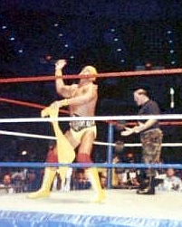 Wrestlemania Vii