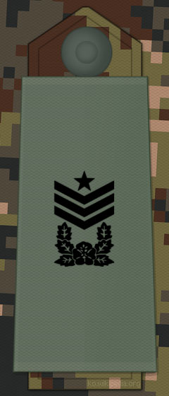 File:KA insignia Sergeant Major.jpg