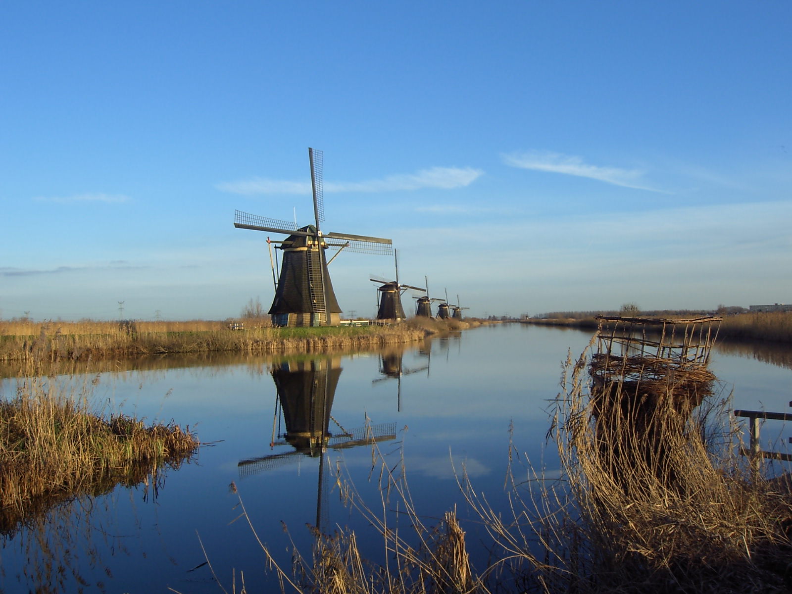 Windmills at Kinderdijk in the northwest of the Alblasserwaard