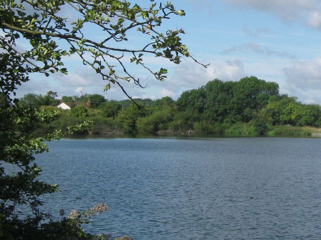 File:Looking across the Reservoir towards Tringford Farm - geograph.org.uk - 1414146.jpg