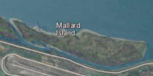 File:NASA Worldwind, USGS imagery map, Mallard Island, California.png