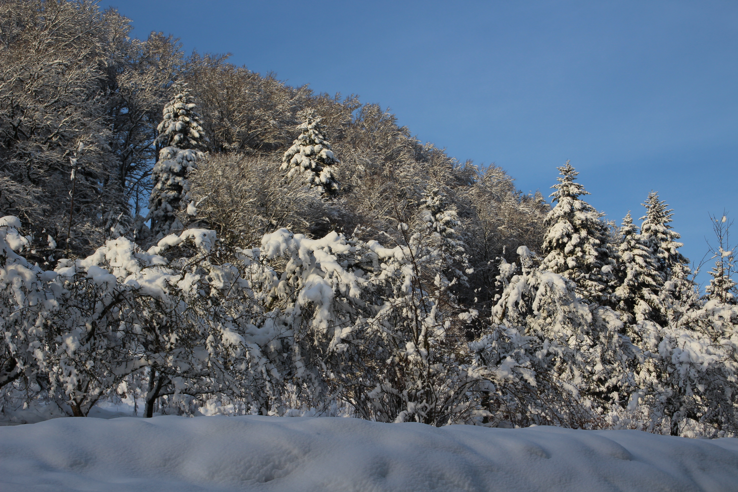 File Neige 29 Janvier 19 22 Jpg Wikimedia Commons