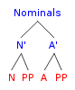 The super category nominals Nominals.png