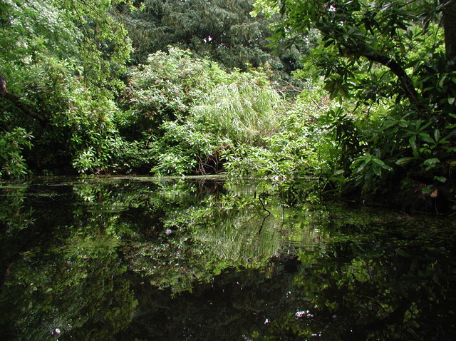 Normanby Hall Gardens - geograph.org.uk - 476601