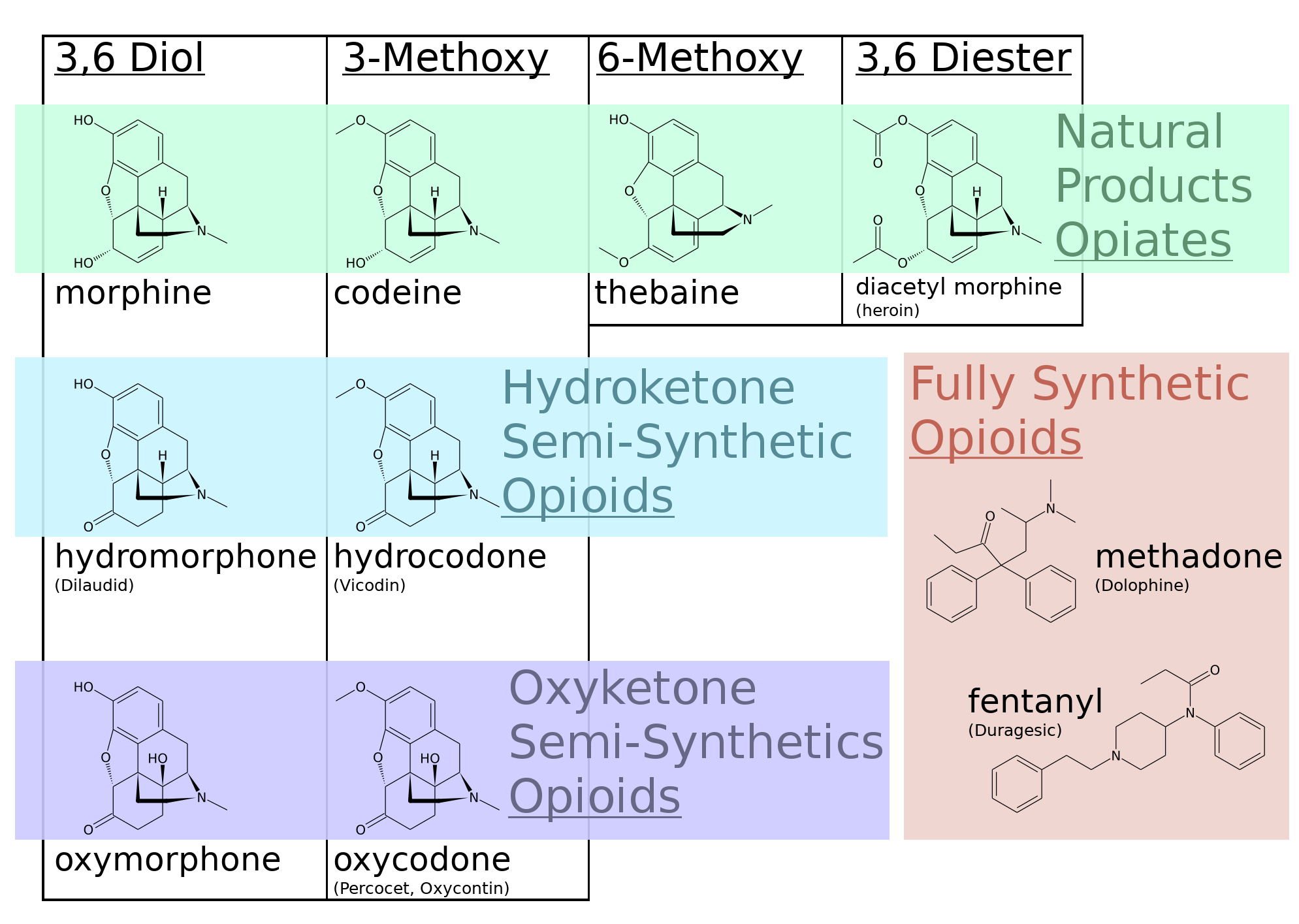 10 Questions On drugs