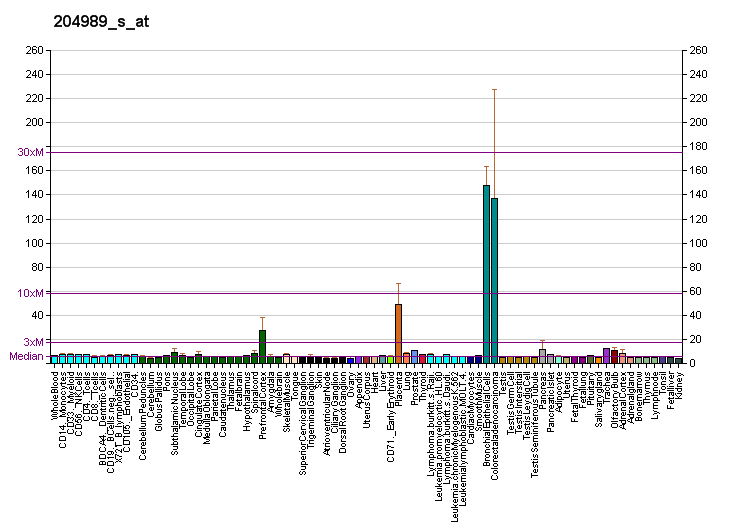 File:PBB GE ITGB4 204989 s at fs.png