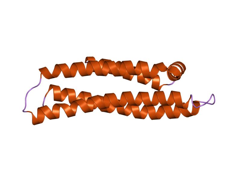 File:PDB 1le2 EBI.jpg