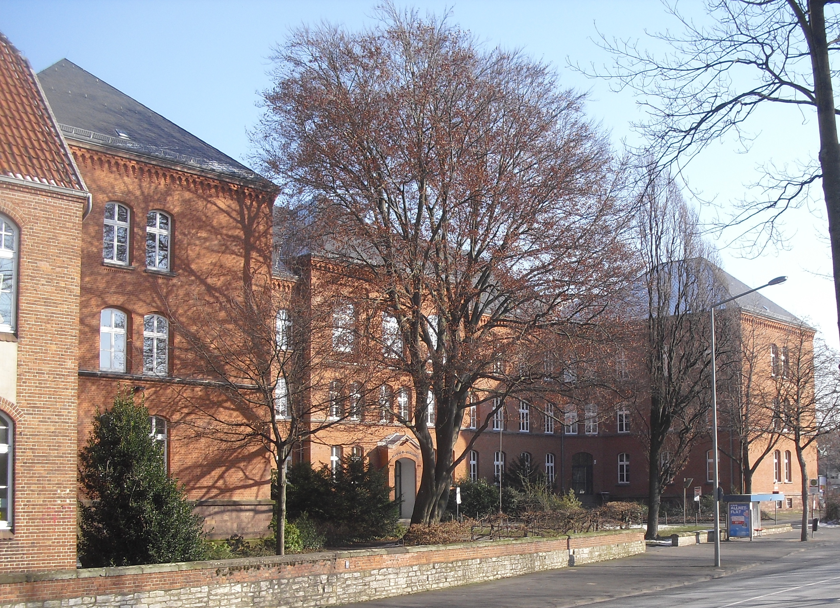 Pelizaeus-Gymnasium Paderborn; davor eine denkmalgeschützte Blutbuche