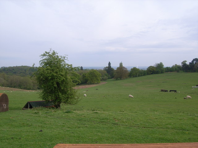 File:Piercefield House - a view down to the River Severn - geograph.org.uk - 888336.jpg
