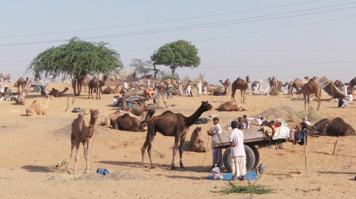 rajasthan tourism