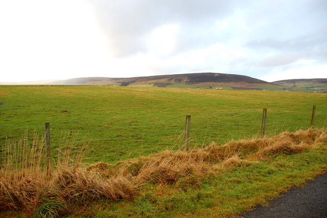 File:Rough Pasture - geograph.org.uk - 1082482.jpg