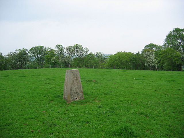 File:Round Hill - geograph.org.uk - 911195.jpg