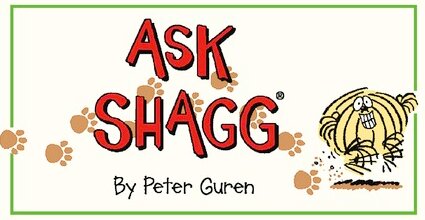 Shagg sunday panel.jpg