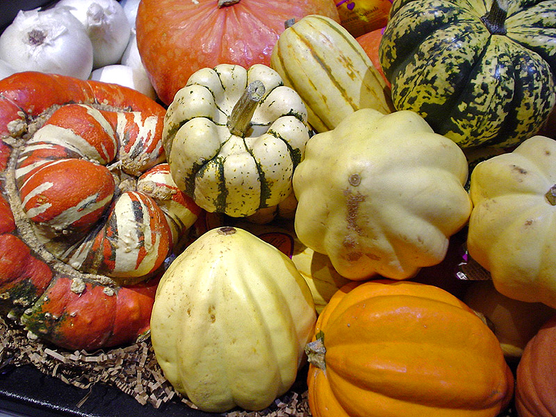 File:Squashes.jpg